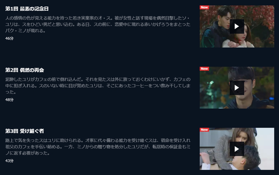 私が恋した男オ・ス　U-NEXT　話数